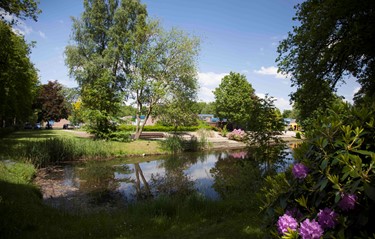 2013 Vijver Zilverlinden